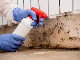 Best Asbestos and Lead Testing During Mold Inspection  in Lumberton, MS